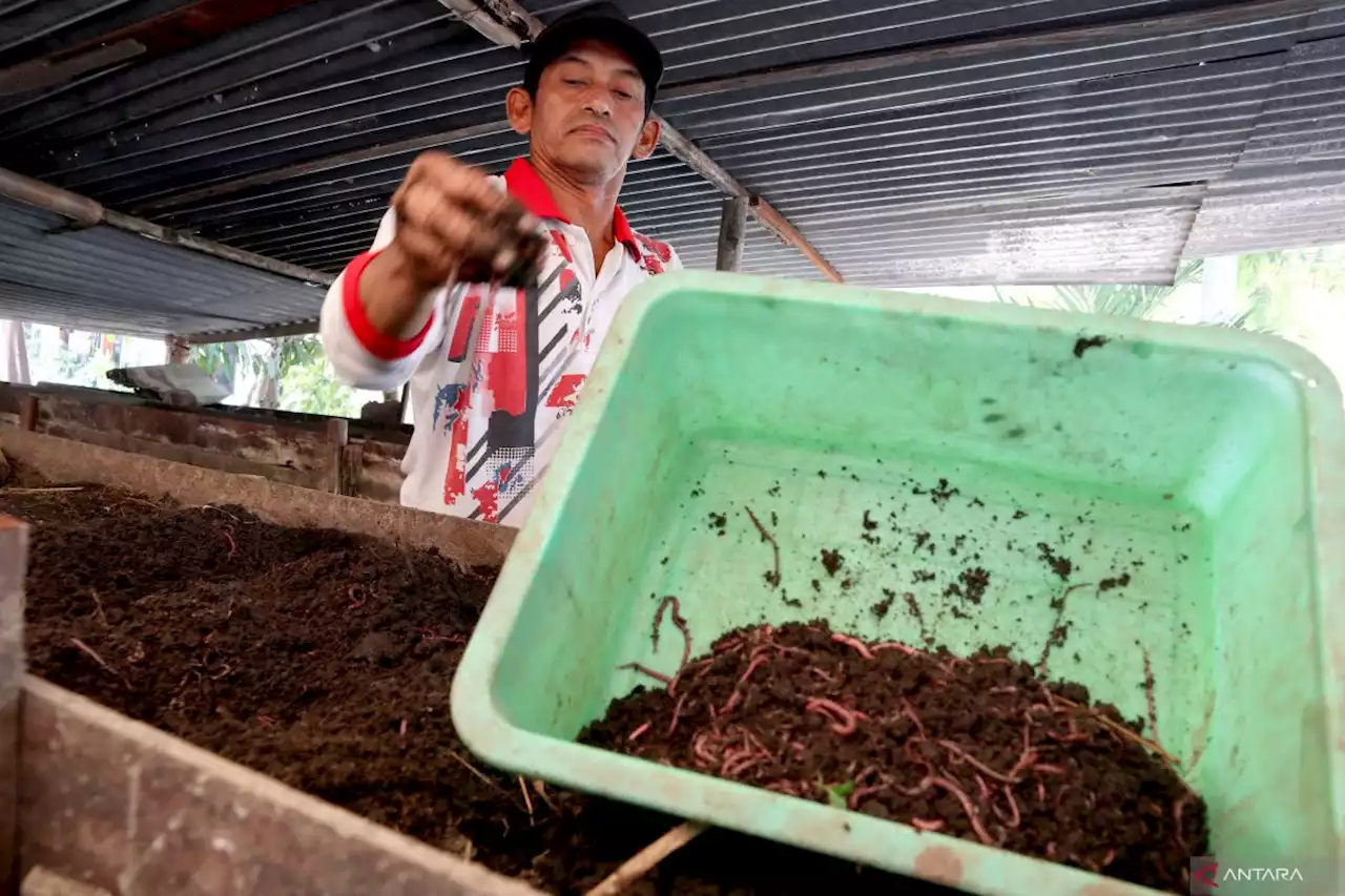 Kurangi impor, Kaltim siapkan pelatihan produksi pakan ikan mandiri