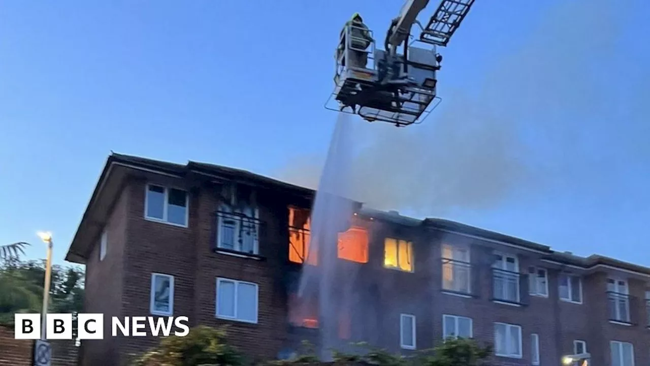 Brighton: People and pets rescued as fire engulfs flats