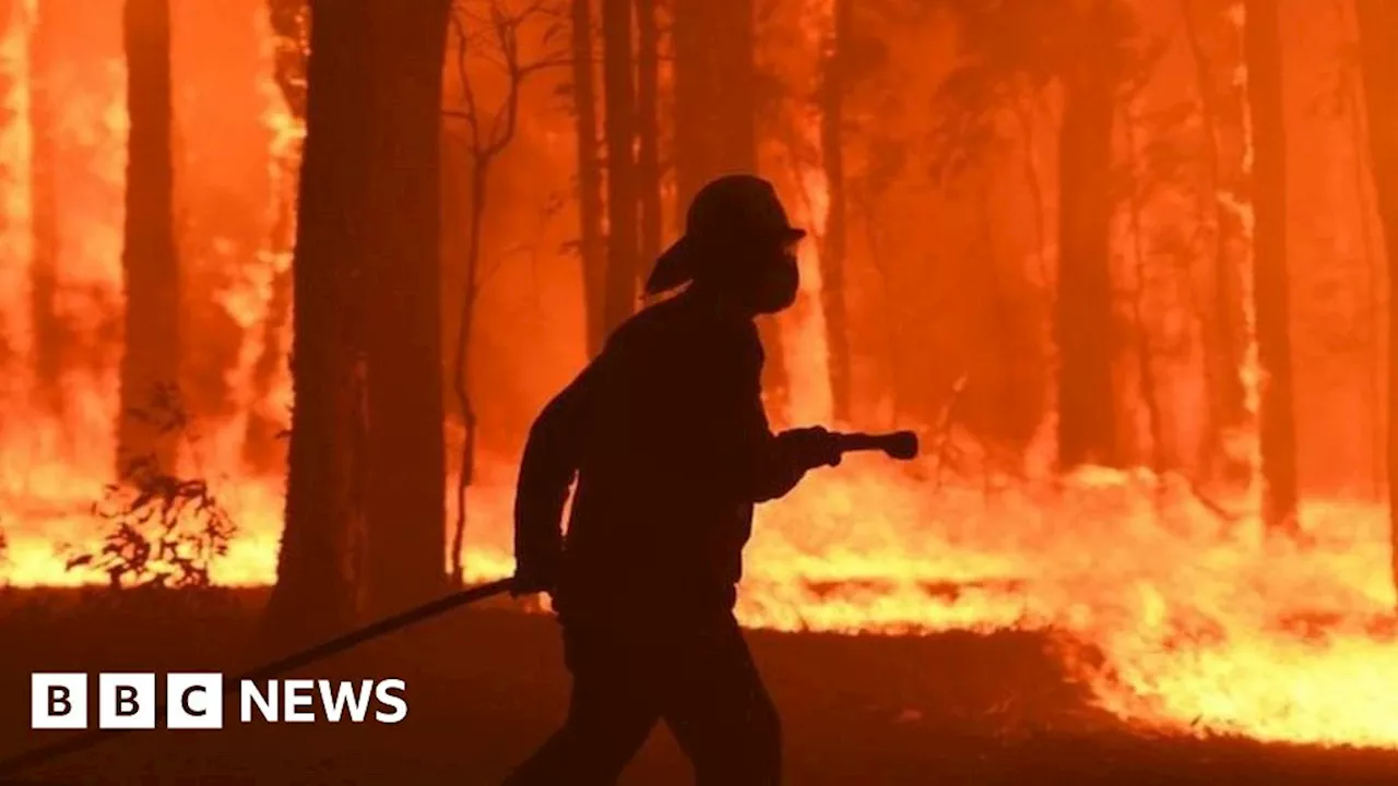 A haunted Australia stares down bushfire disaster again