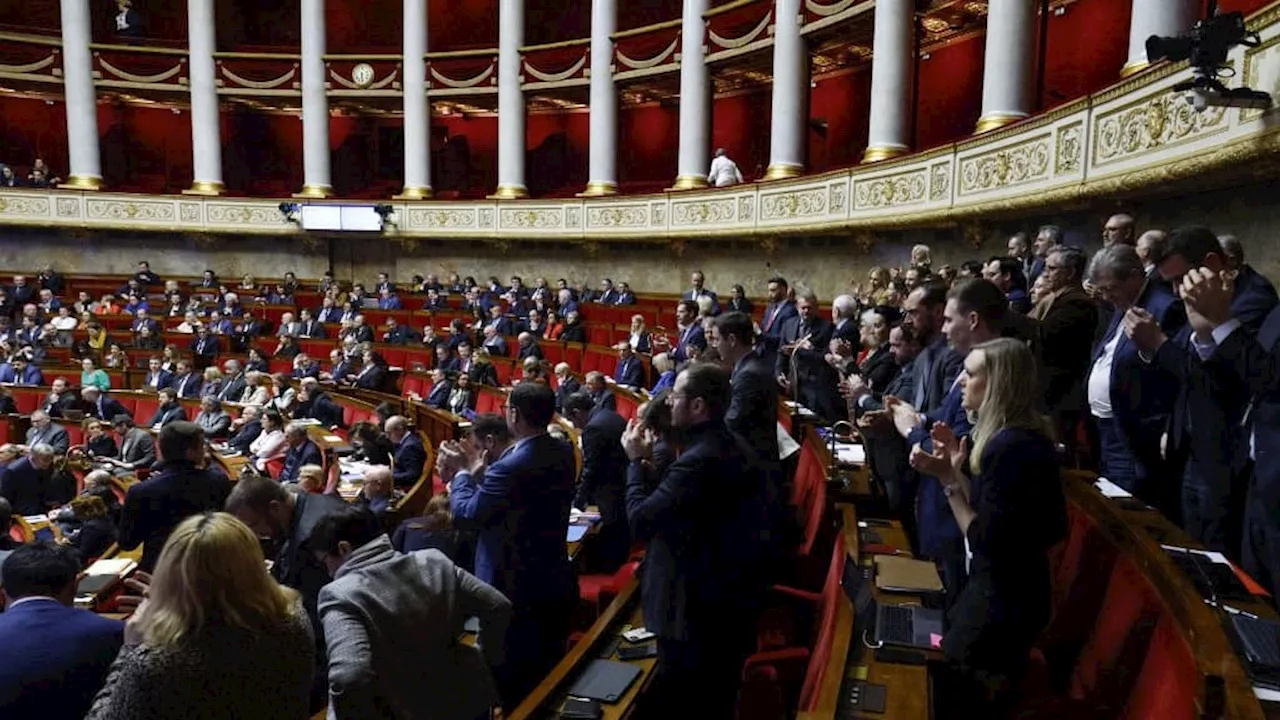 Endométriose: la proposition de loi du Rassemblement national rejetée en commission