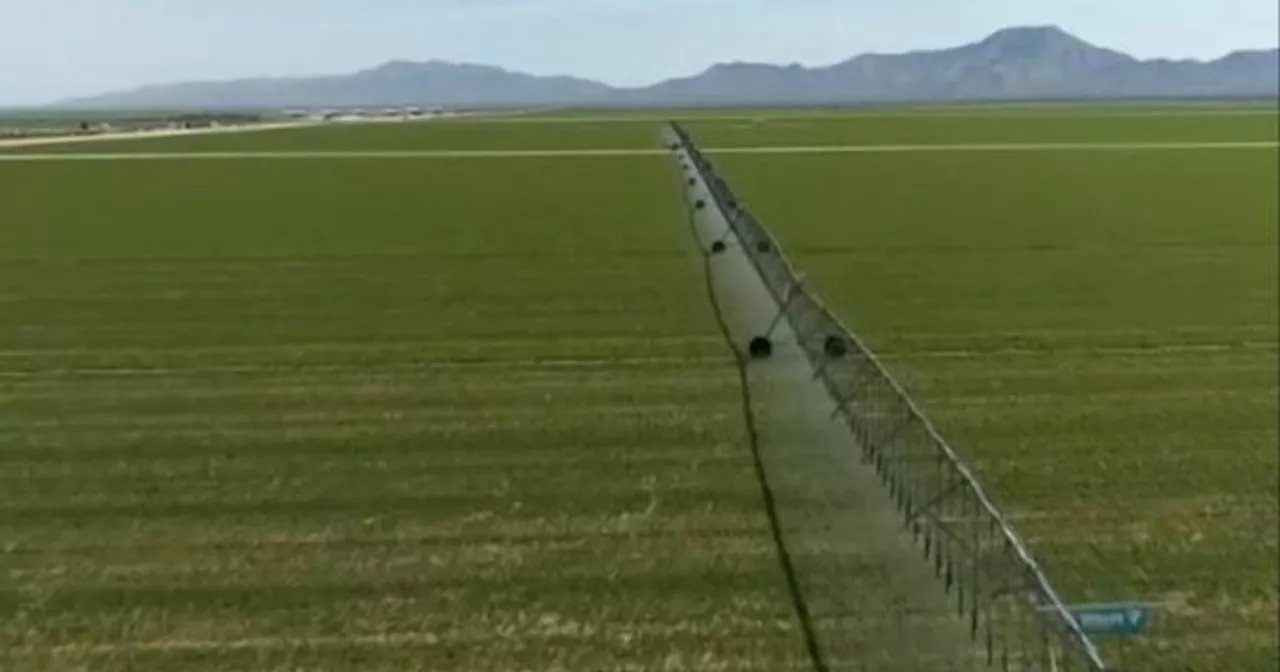 Arizona is canceling leases that allow Saudi-owned farm unlimited access to state's groundwater