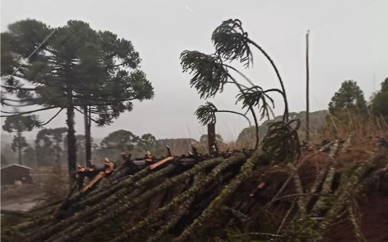 Novo ciclone leva tempestades com raios e ventos moderados ao Sul nesta quarta