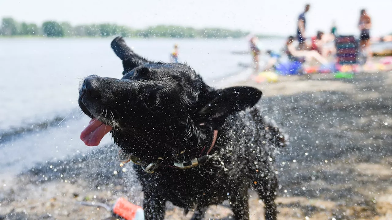 October heatwave continues for another day