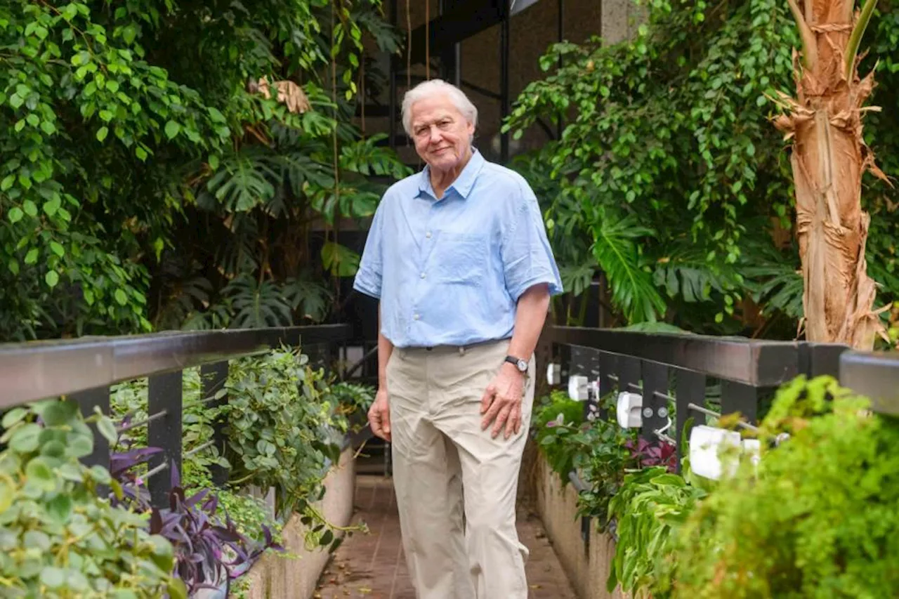 Madame Tussauds unveils new waxwork of Sir David Attenborough