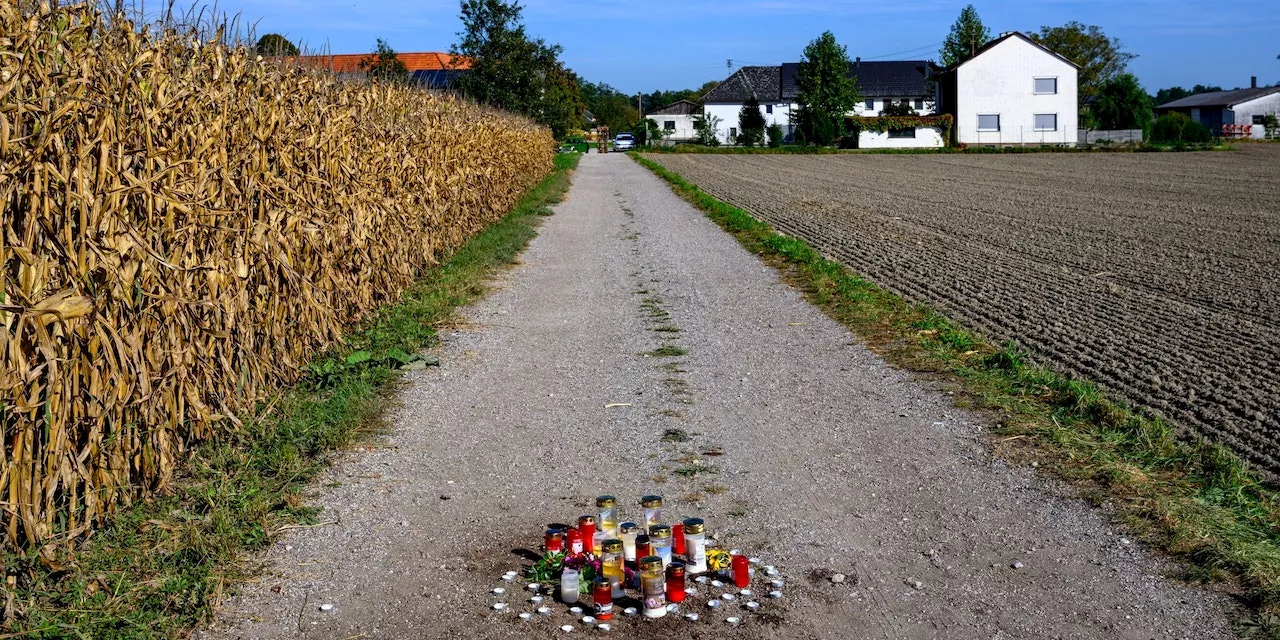 Knalleffekt nach Todes-Attacke – nun alle Kampfhunde weg