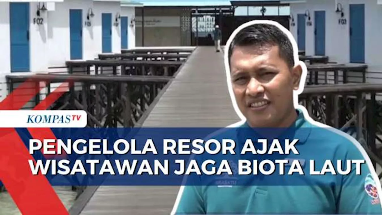 Resor di Maratua Ajak Wisatawan Jaga Biota Laut dengan Menanam Pohon Saat Menginap