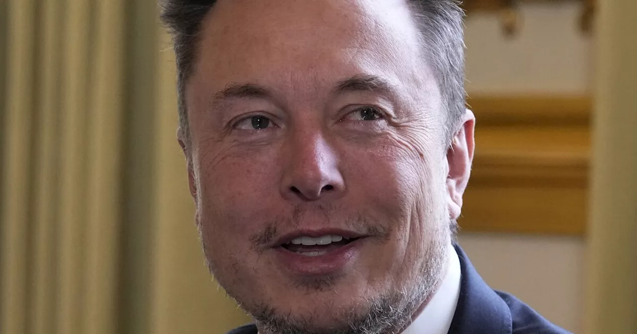 Elon Musk is sued in Travis County for libel for accusing a man of having neo-Nazi links