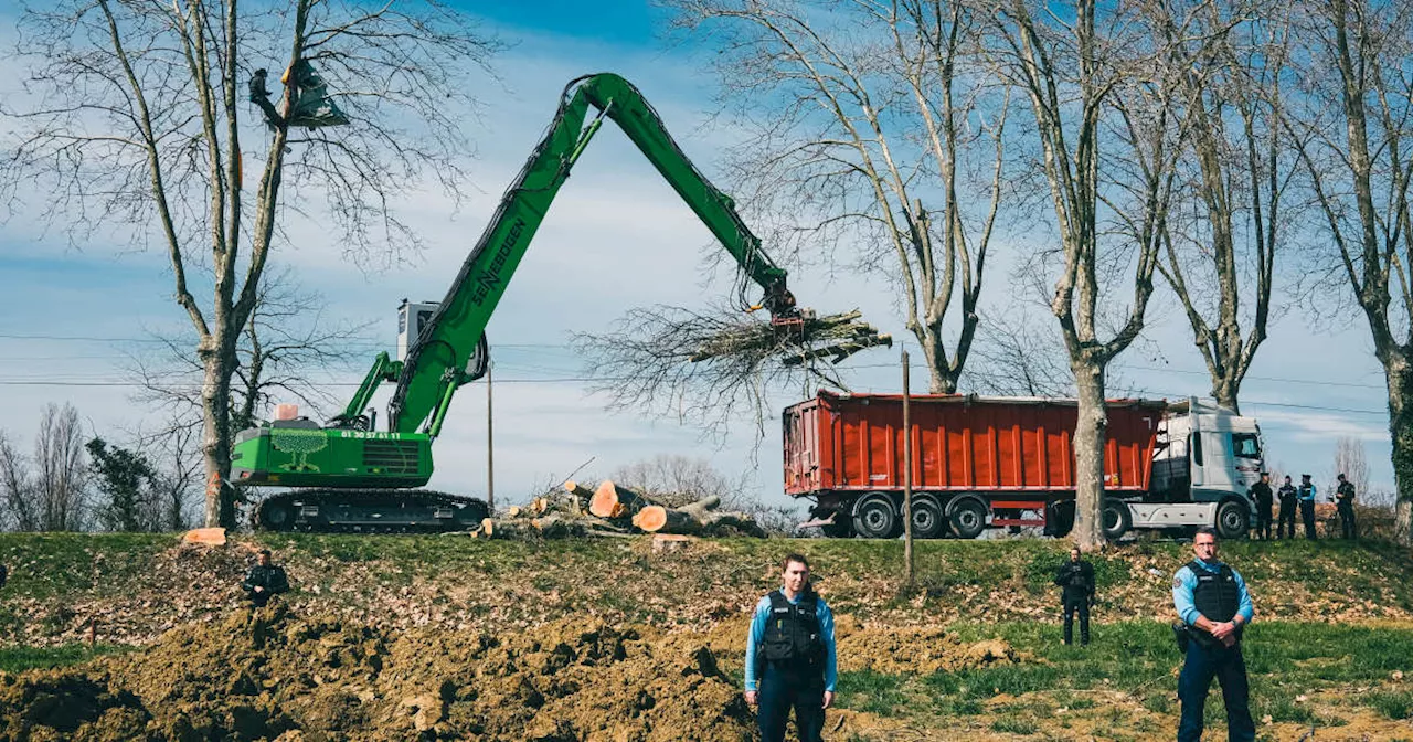 « Pour nous, scientifiques, l’autoroute A69 est un de ces projets auxquels il faut renoncer »