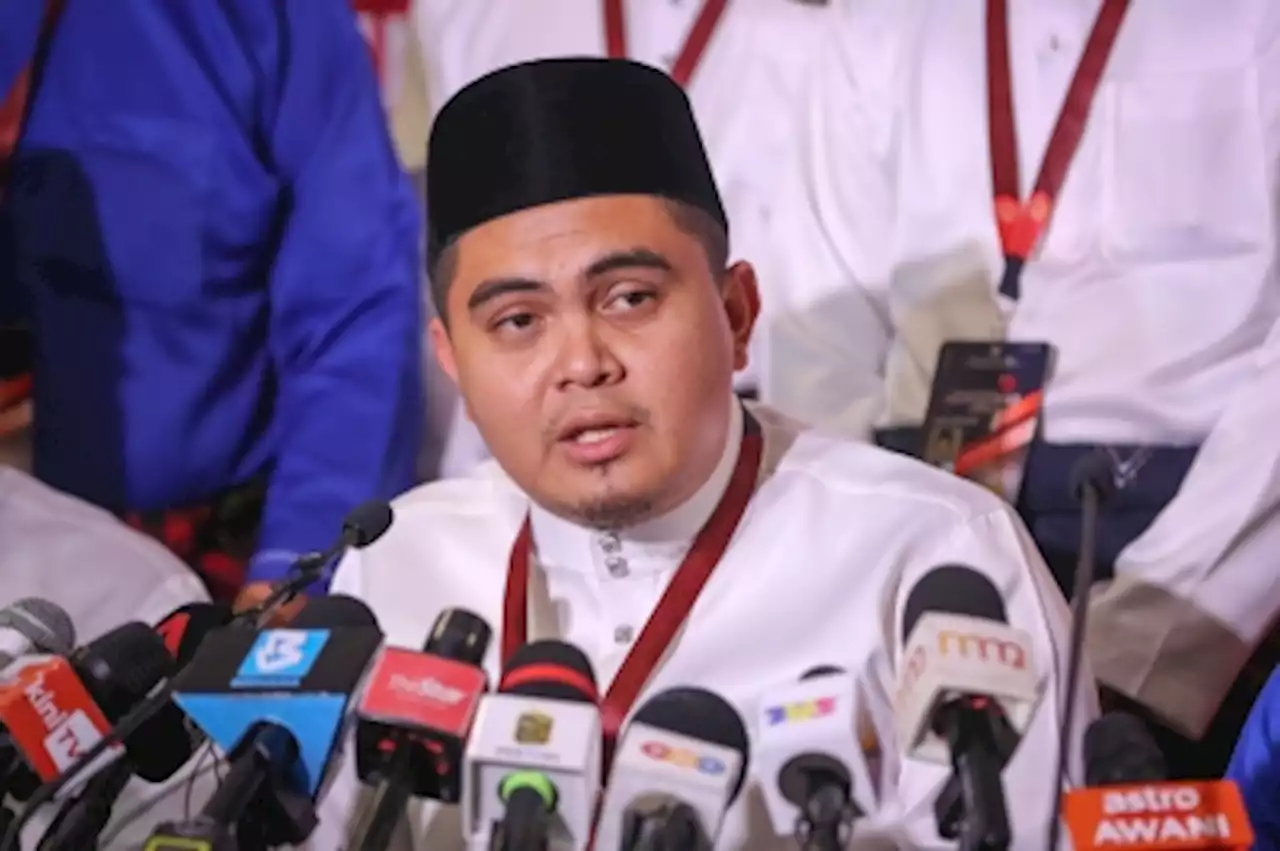 Govt must re-establish National Paddy and Rice Board, says Umno Youth chief