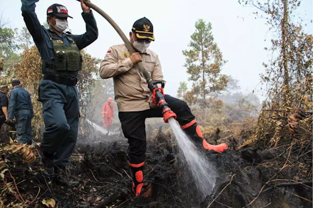 KLHK Terjun Langsung Tangani Karhutla di Kalimantan Selatan