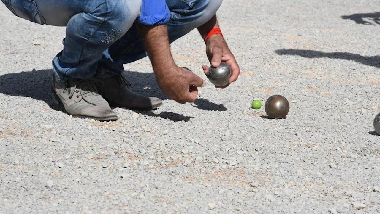 Agde : concours de pétanque au Cap et au Grau, visites de la Criée aux poissons... tous les rendez-vous de ce mercredi 4 octobre