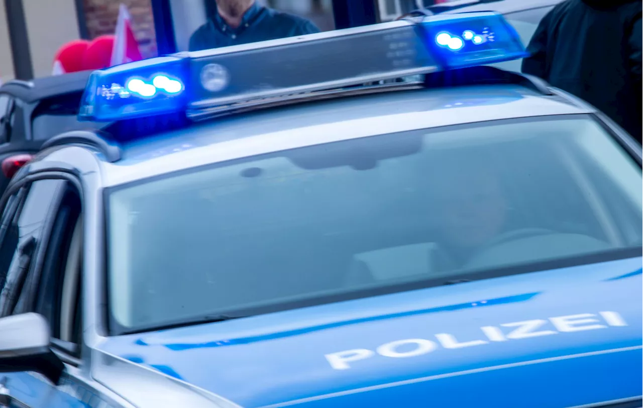 Mutmaßlicher Schleuser flieht vor Polizei und baut Unfall