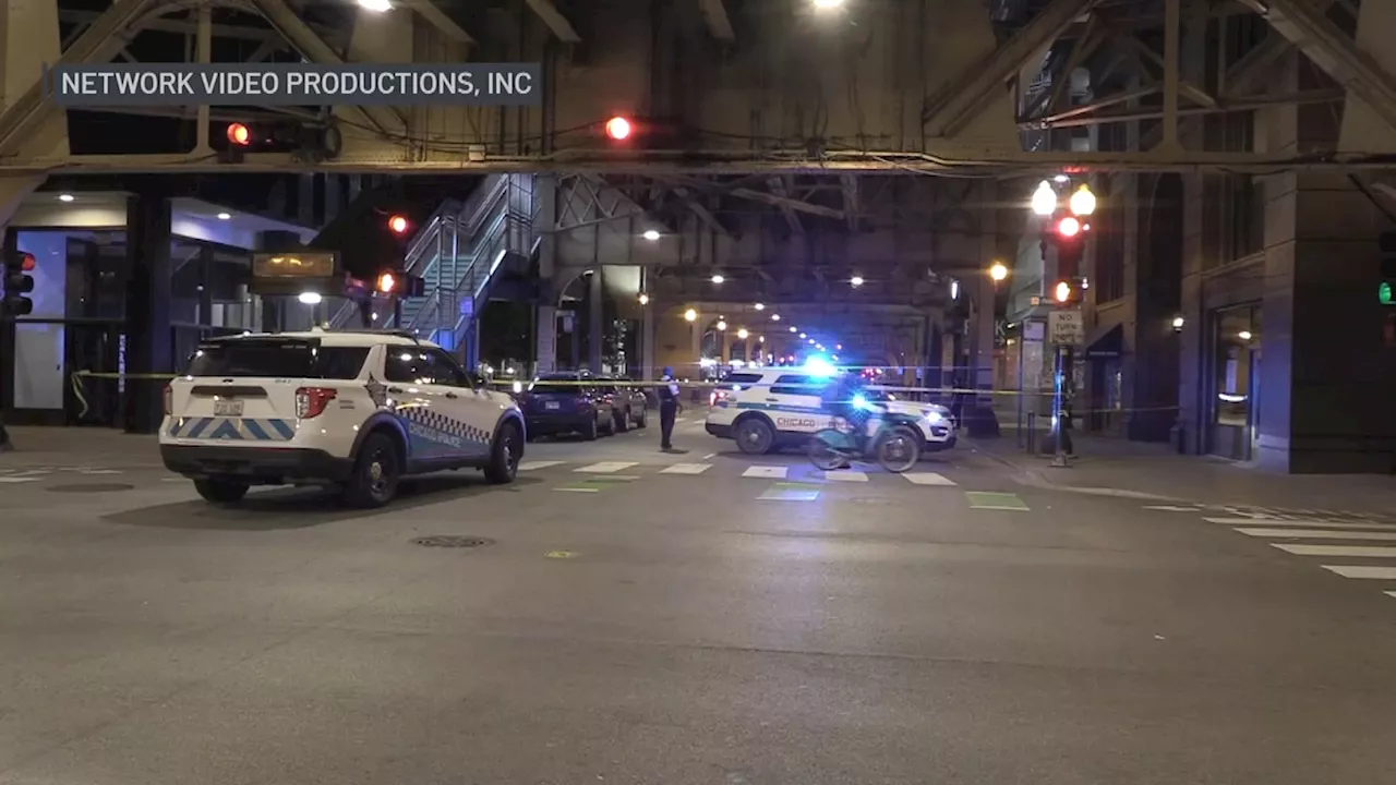 Girl, 17, fatally stabbed during fight in the Loop: Chicago police