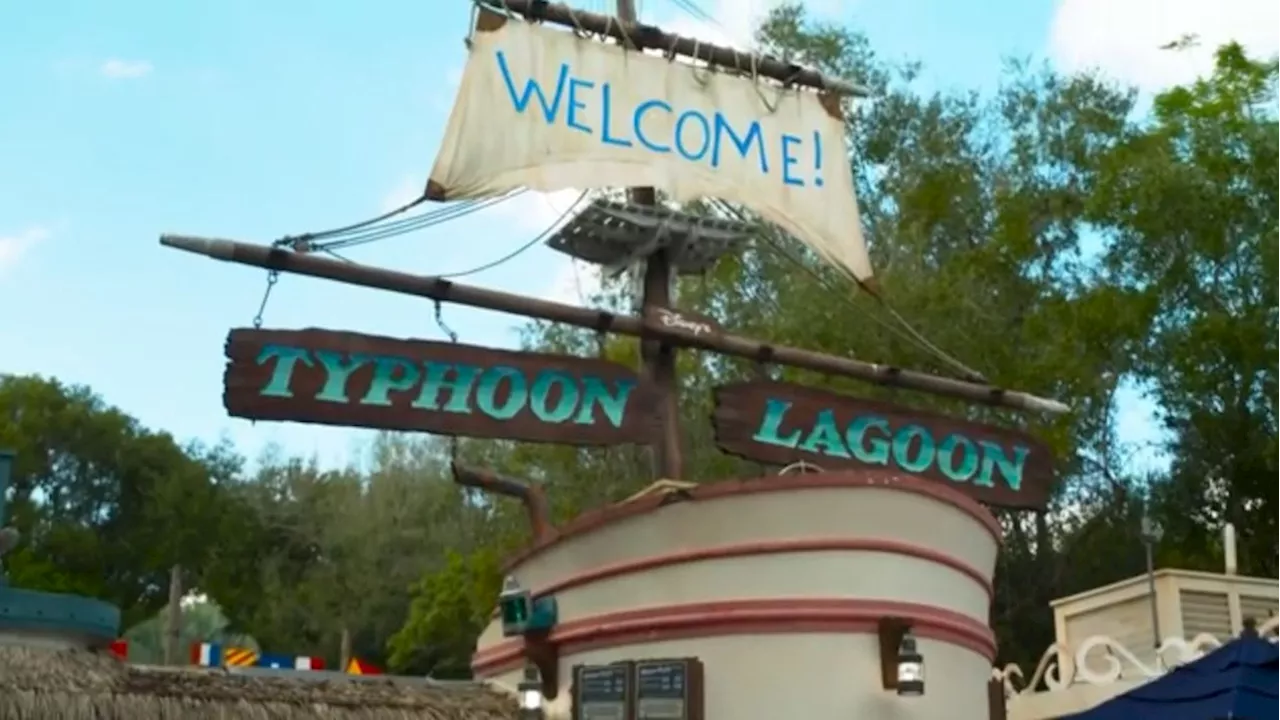 Woman sues Disney over 'injurious wedgie' at Typhoon Lagoon water park