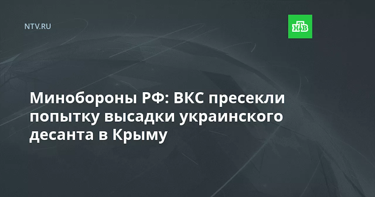 Минобороны РФ: ВКС пресекли попытку высадки украинского десанта в Крыму