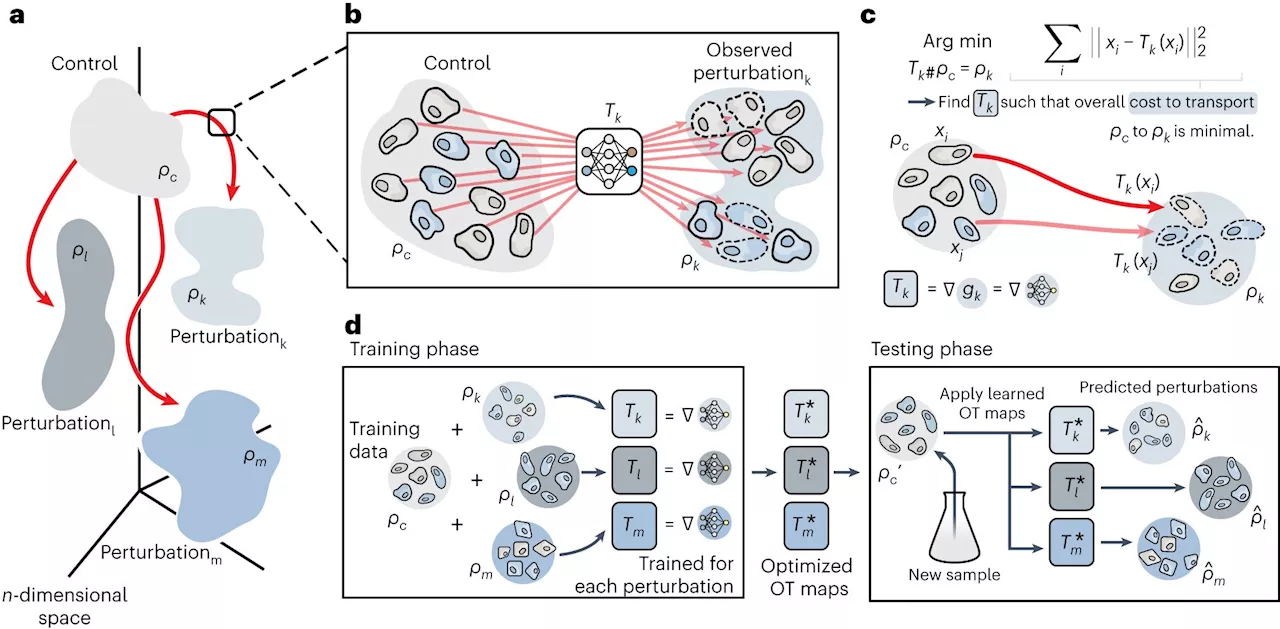 Predictions of the effect of drugs on individual cells are now possible