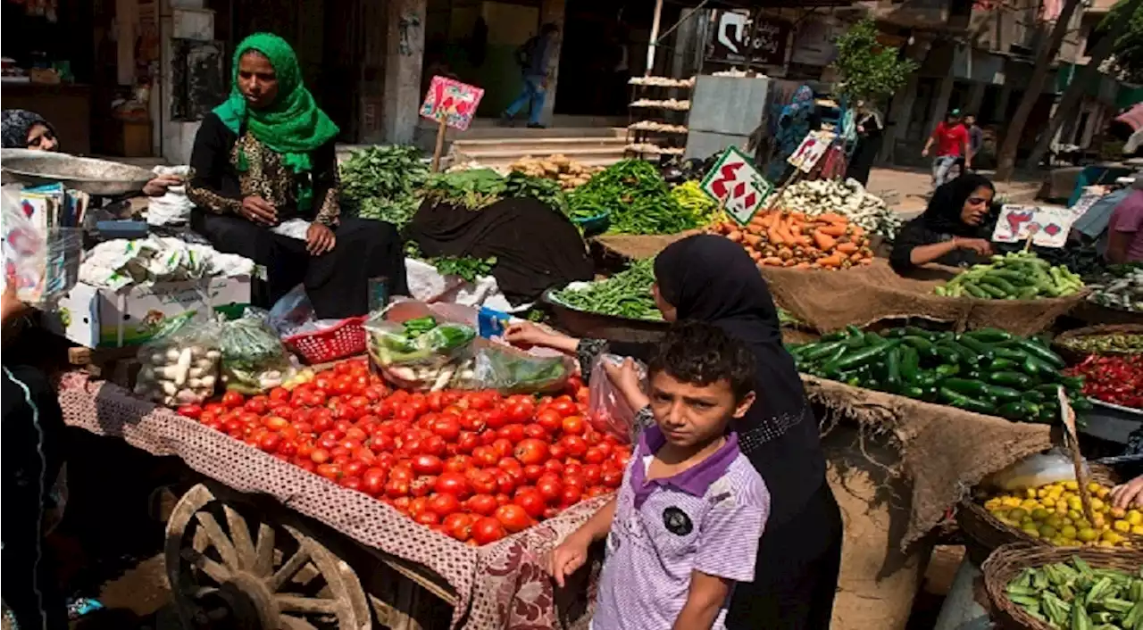 مصر..'الغرف التجارية' تكشف موعد انخفاض أسعار 9 سلع أساسية