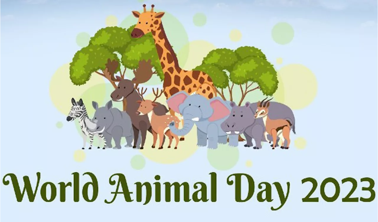 World Animal Day 2023: Celebrating Love for All Creatures