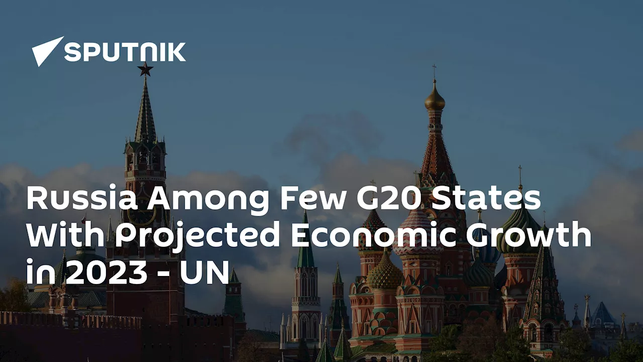 Russia Among Few G20 States With Projected Economic Growth in 2023 - UN