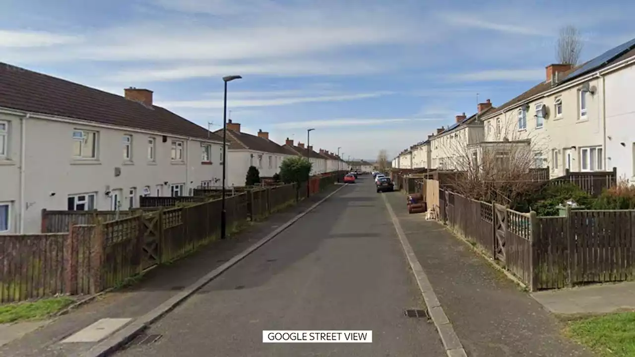 Dog attack in Sunderland leaves man with serious injuries, one person held