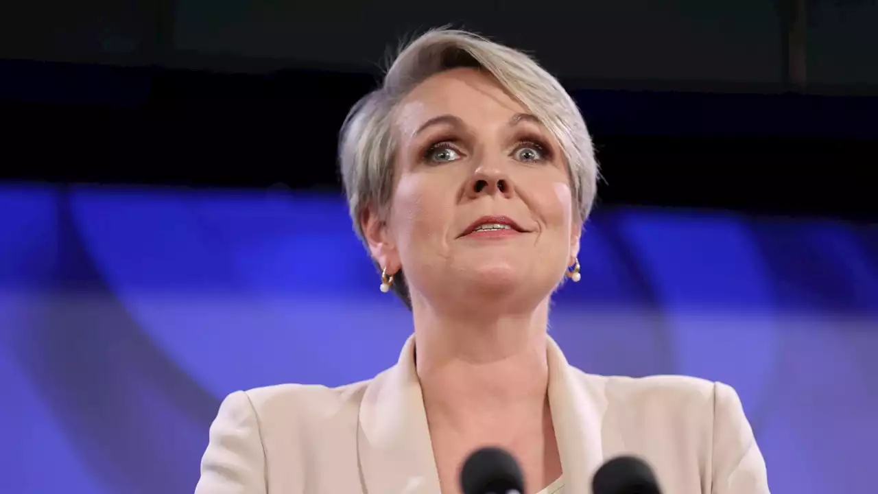 Tanya Plibersek &#8216;absolutely scared&#8217; of the truth in Mildura