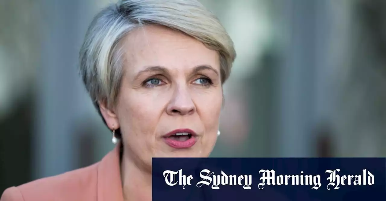 Plibersek hails recycling jobs ‘boom’ as Australia scrambles to meet targets