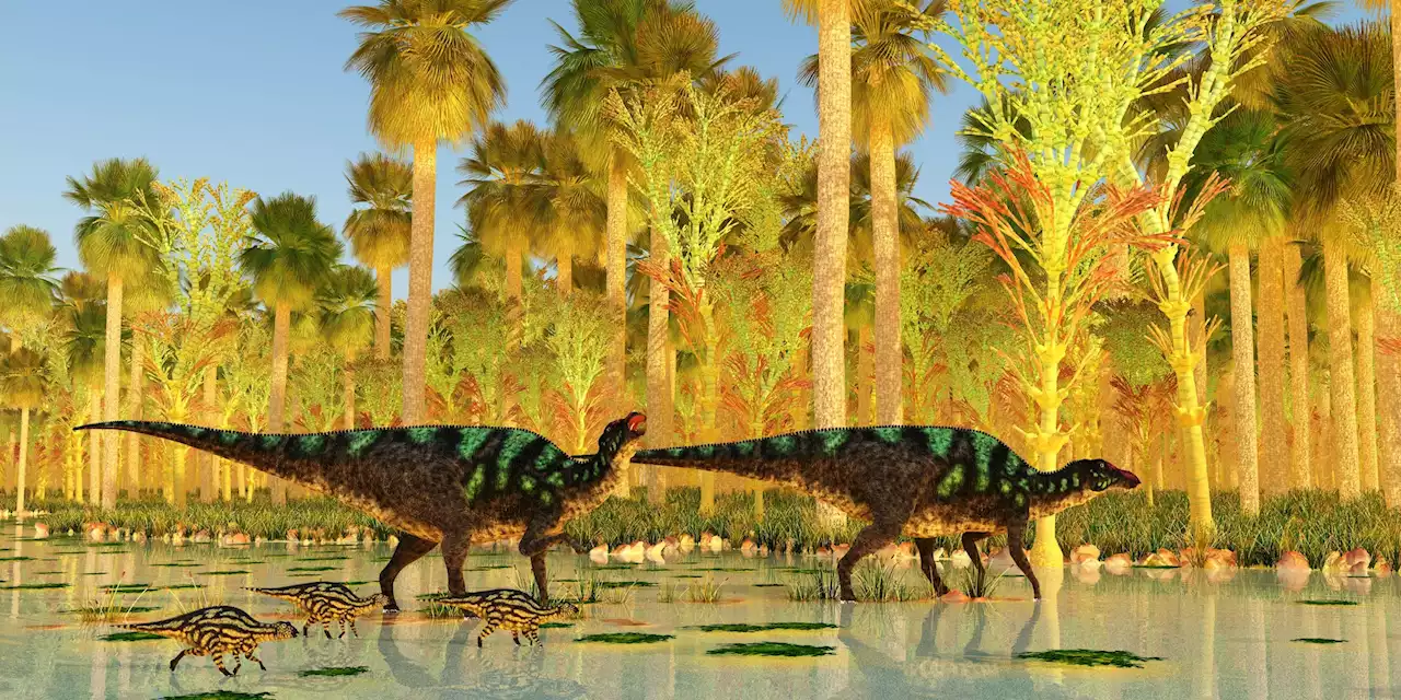 Holes in baby dinosaur bones show how football-sized hatchlings grew to 3-tonne teens