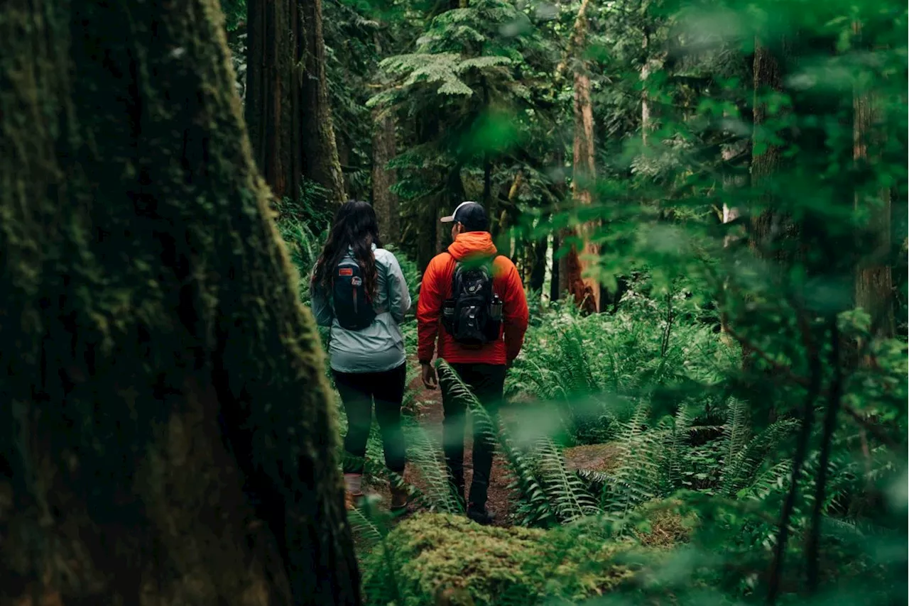 'It was so close I could feel it breathing': Tracking with Oregon's Bigfoot hunters