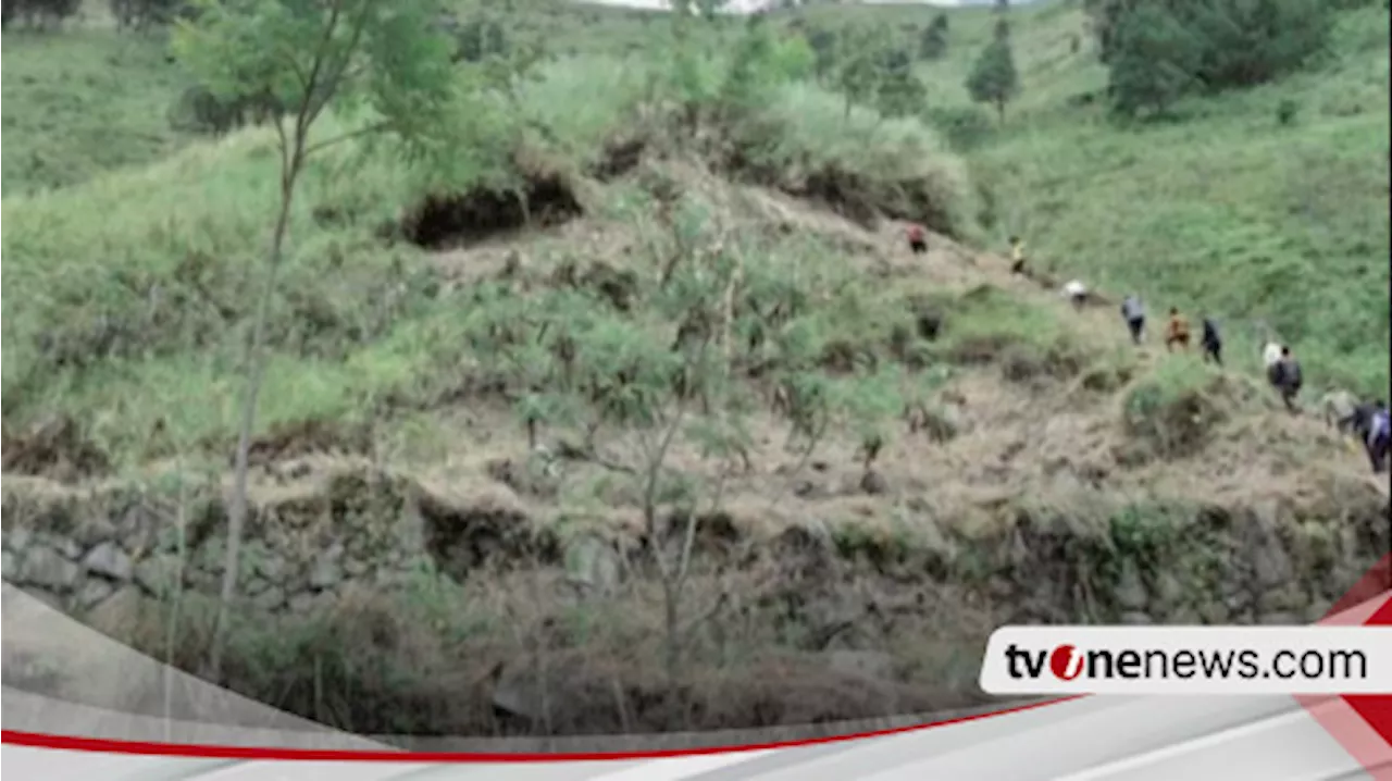 Viral Temuan Piramida Toba di Kabupaten Humbahas, Pemerintah Setempat Langsung Tinjau Lokasi