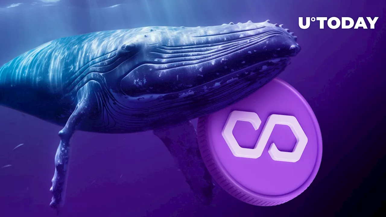 Polygon (MATIC) Price Jumps Following Unusual Whale Activity Spike