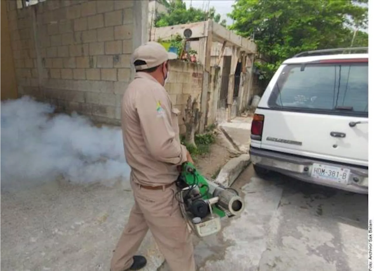 Repuntan casos y muertes por dengue en México