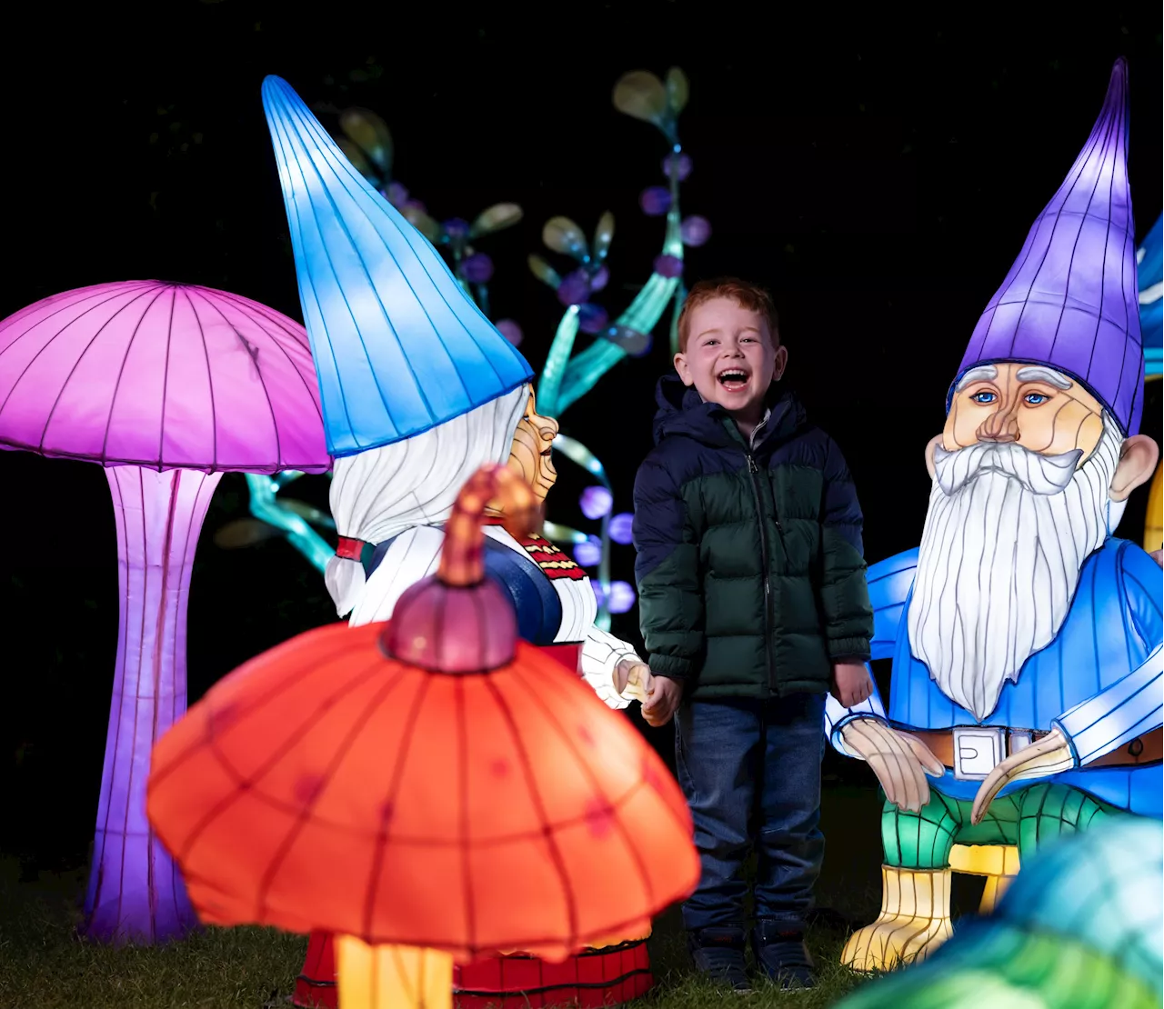 We finally know the theme for this year's Dublin Zoo Wild Lights