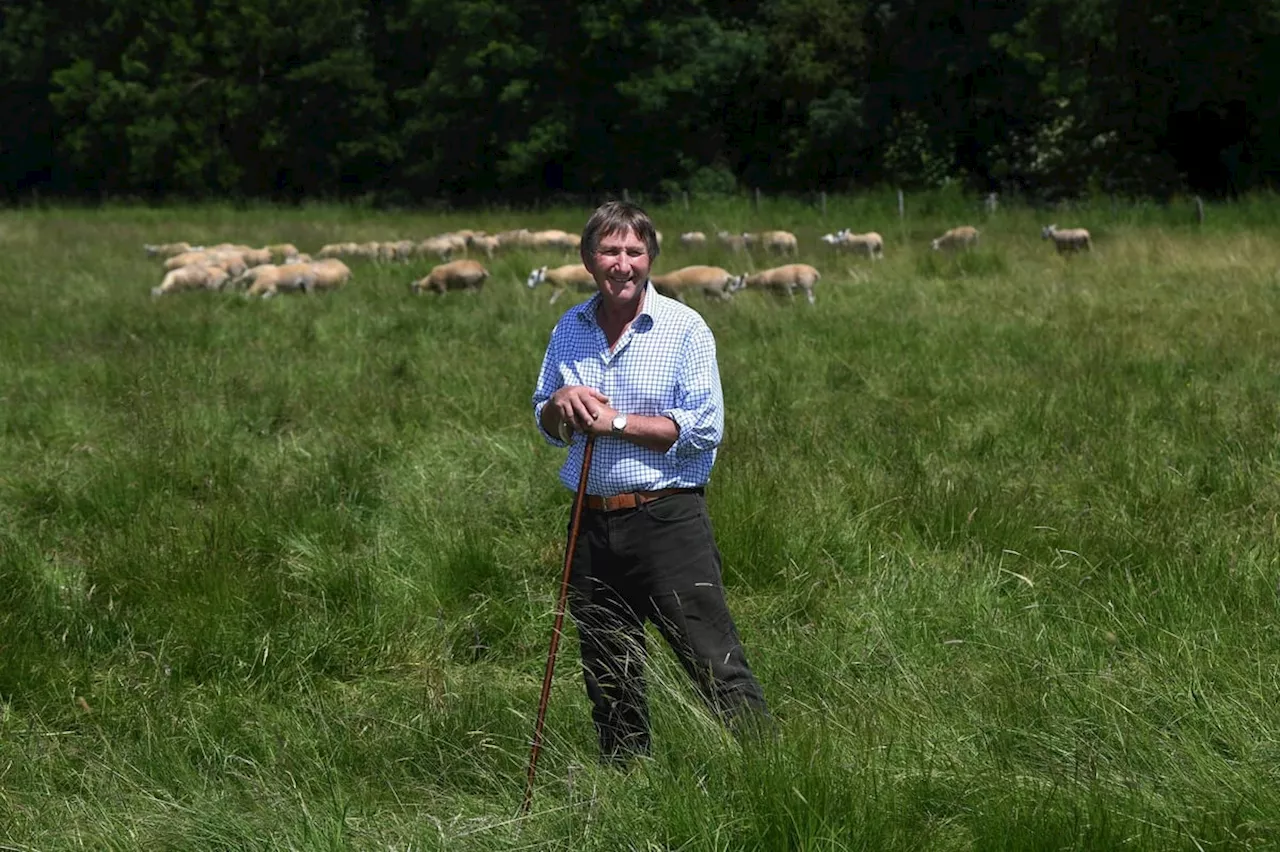 Charles Mills has done a great job with the Great Yorkshire Show