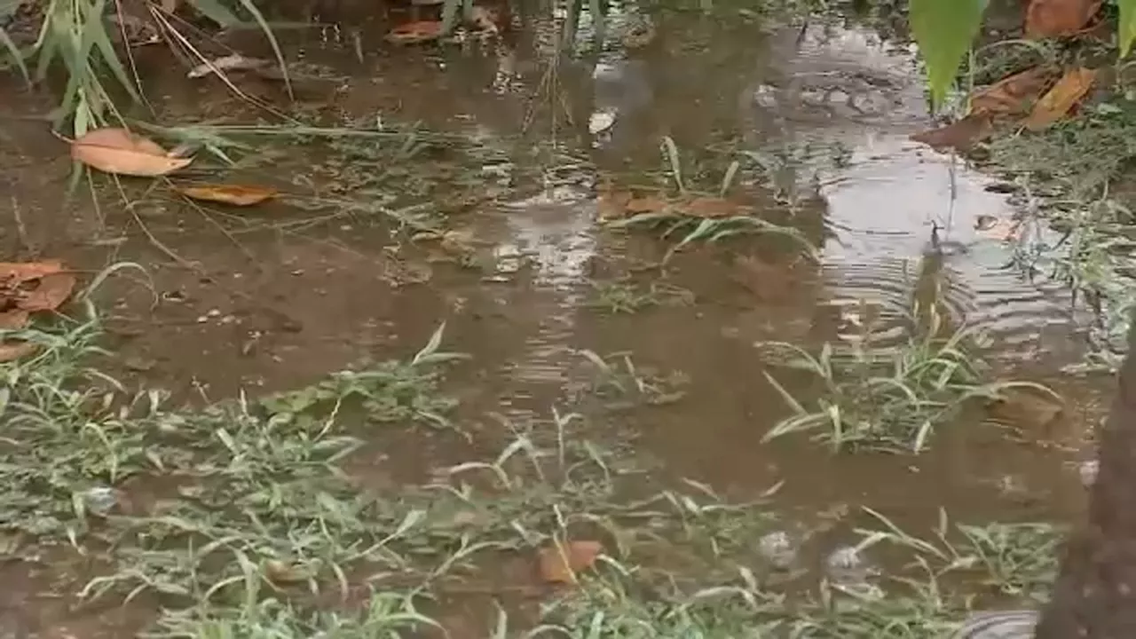 Record rain in NYC generates 'life-threatening' flooding