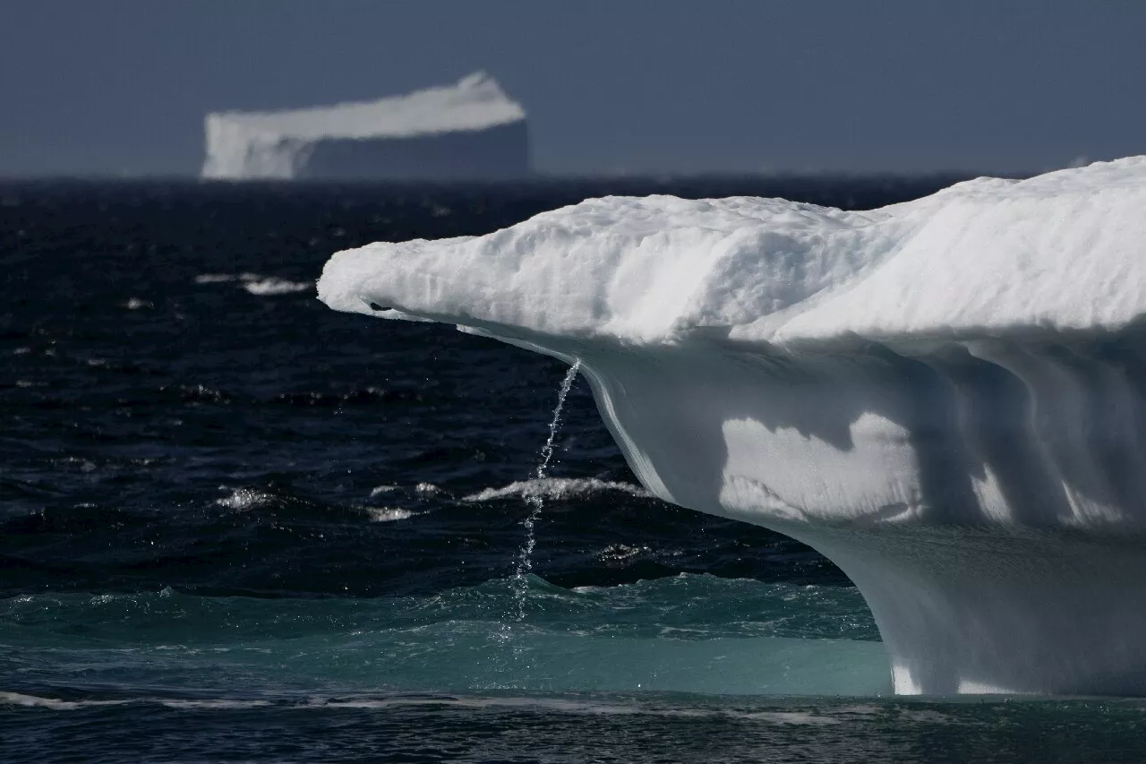 Au Groenland, l'univers inuit fond comme peau de chagrin | Actu