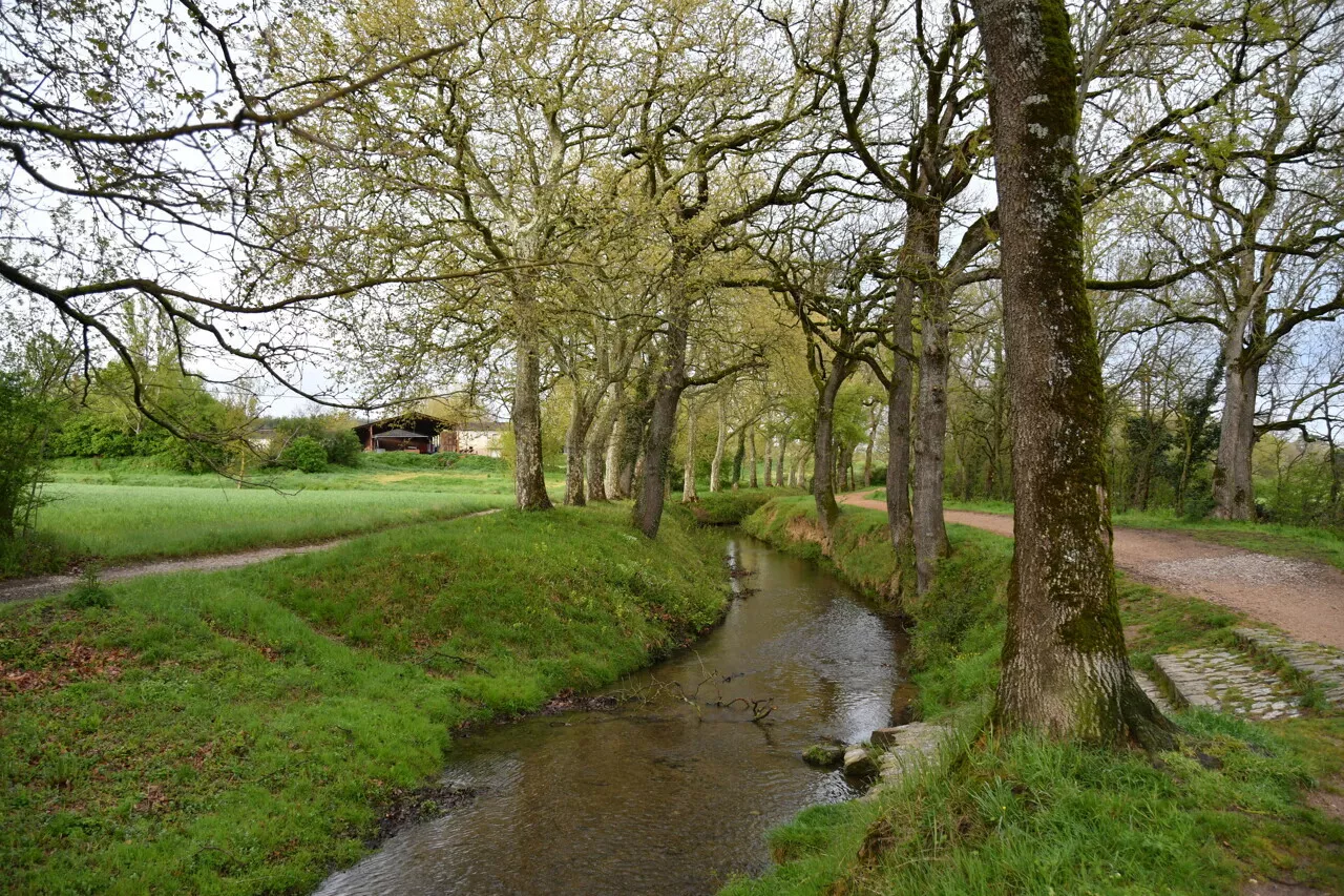 Noyade à Revel : un septuagénaire décède près d'un cours d'eau | Voix du Midi Lauragais