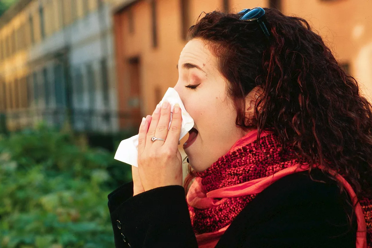 Influenza, guida per rafforzare le difese a tavola: 'Da vecchi rimedi a novità 'green''