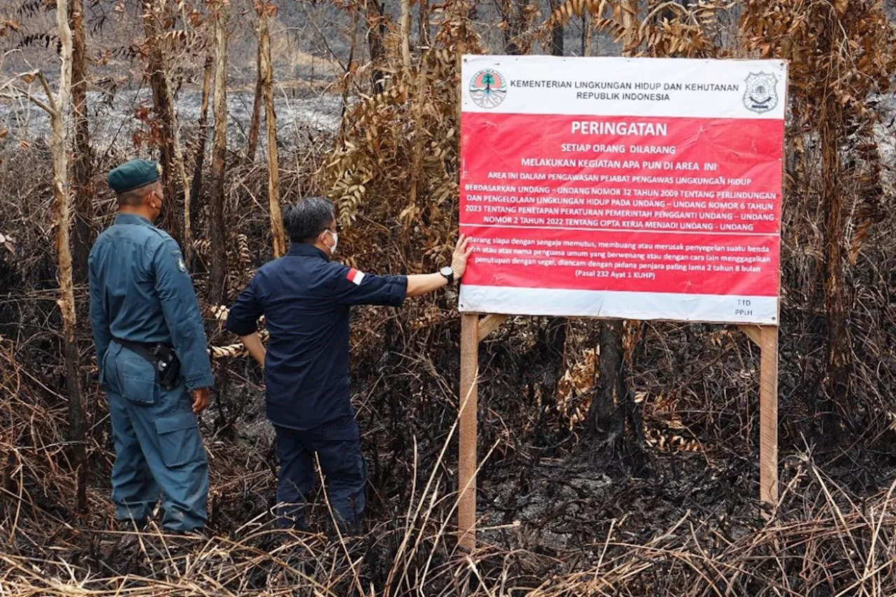 KLHK segel lahan perusahaan perkebunan sawit di Sumatera Selatan