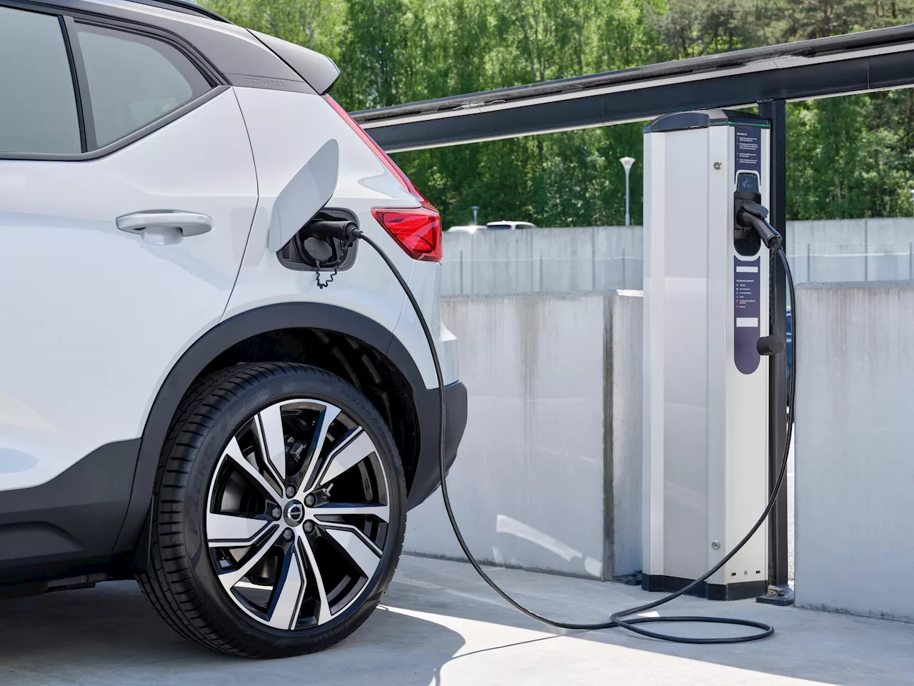 September\u0027s sharp decline in private EV sales fuelled by ICE ban delay