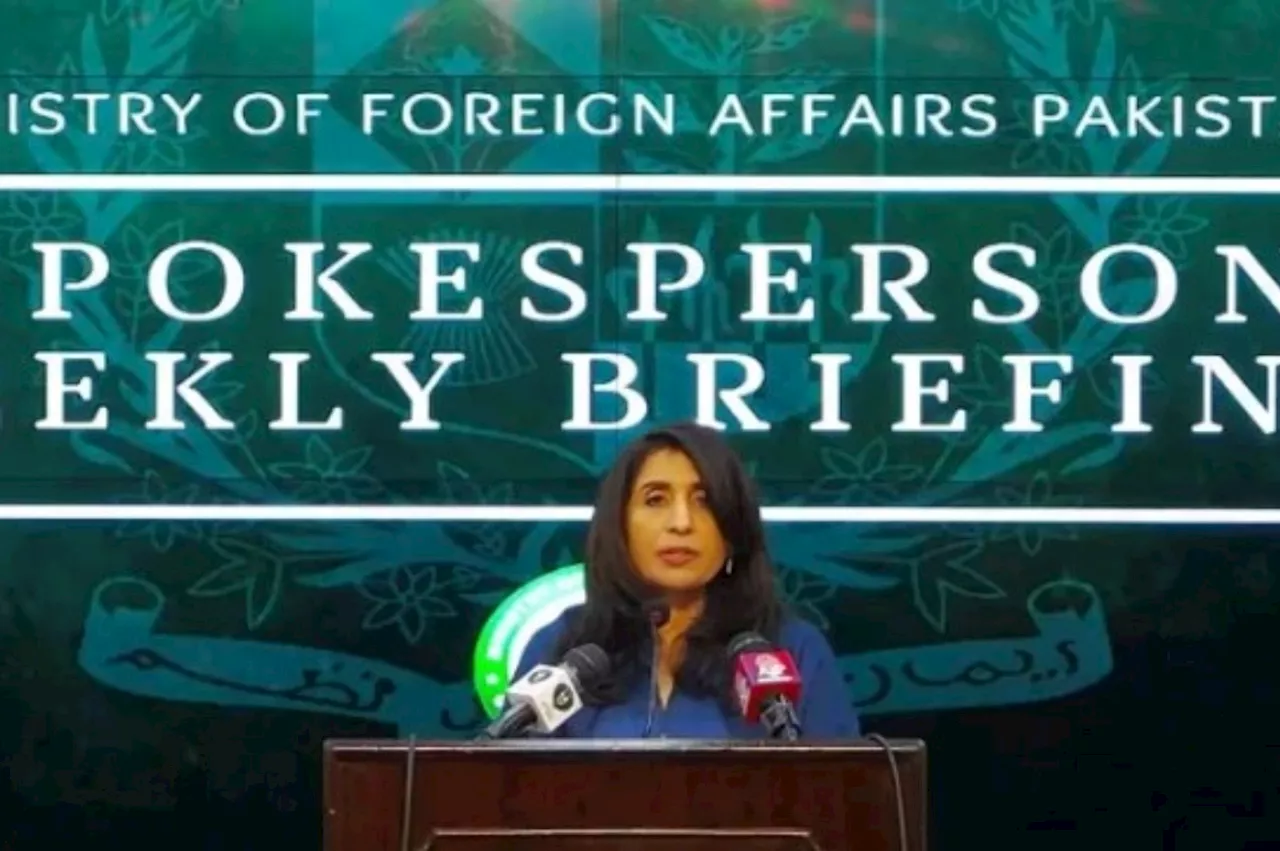 Operation against illegal immigrants not targeted against any particular nationality: FO