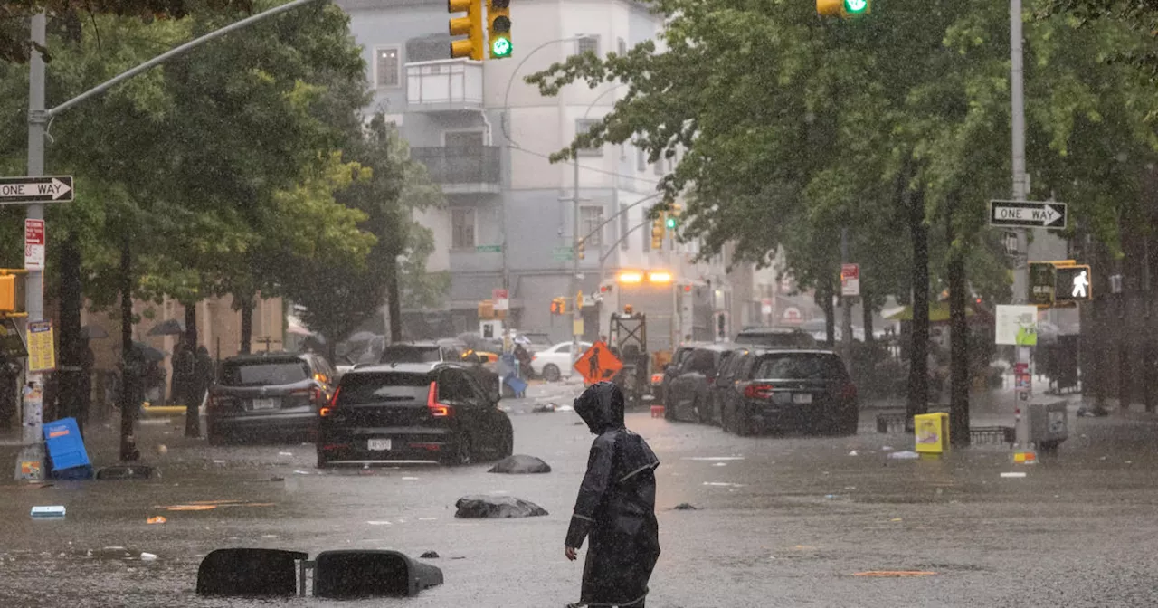 Watch Live: New York City Comptroller Brad Lander launching investigation into Ophelia flood response