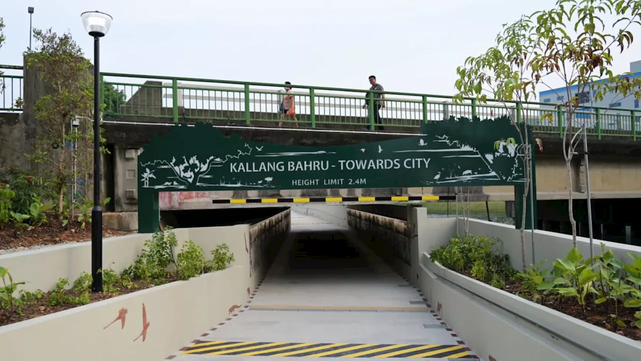 First phase of Bishan-to-City links project opens