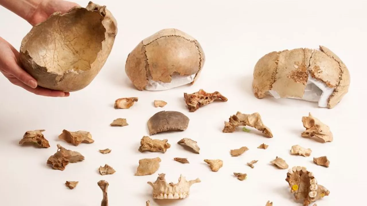 Ancient humans would eat their dead - and not because they had to, study suggests