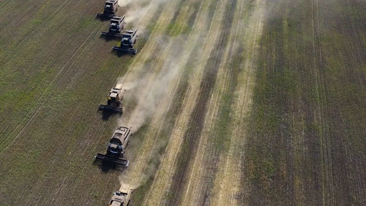 Russia wields ‘silent weapon’ of grain exports to weaken Ukraine