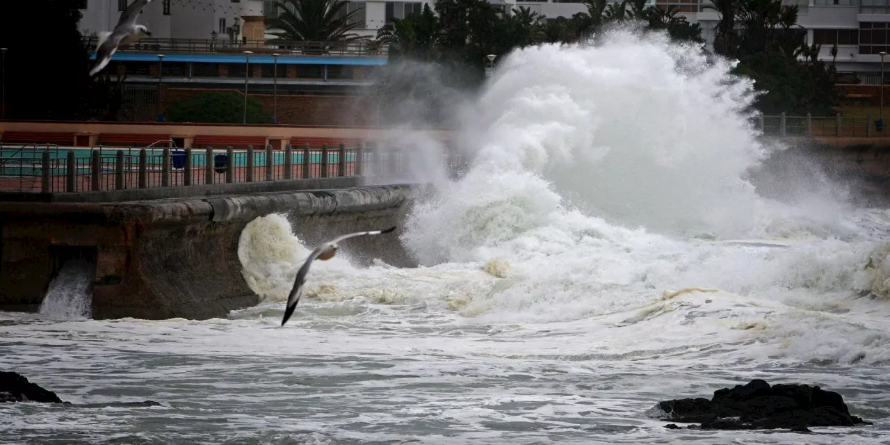 Wet summer for north-east SA despite El Niño — drier hopes for west, central regions