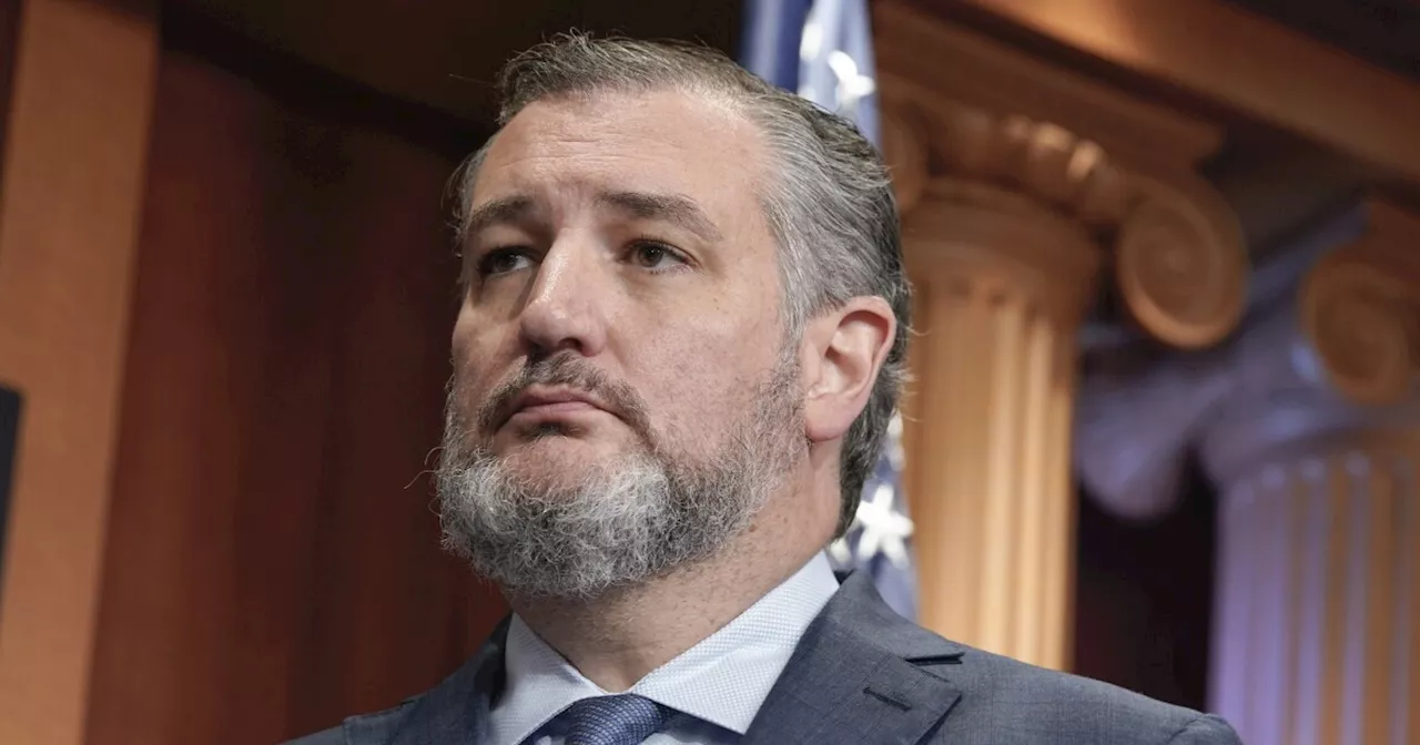 Ted Cruz warns 'the country's gone' if Texas turns blue in 2024