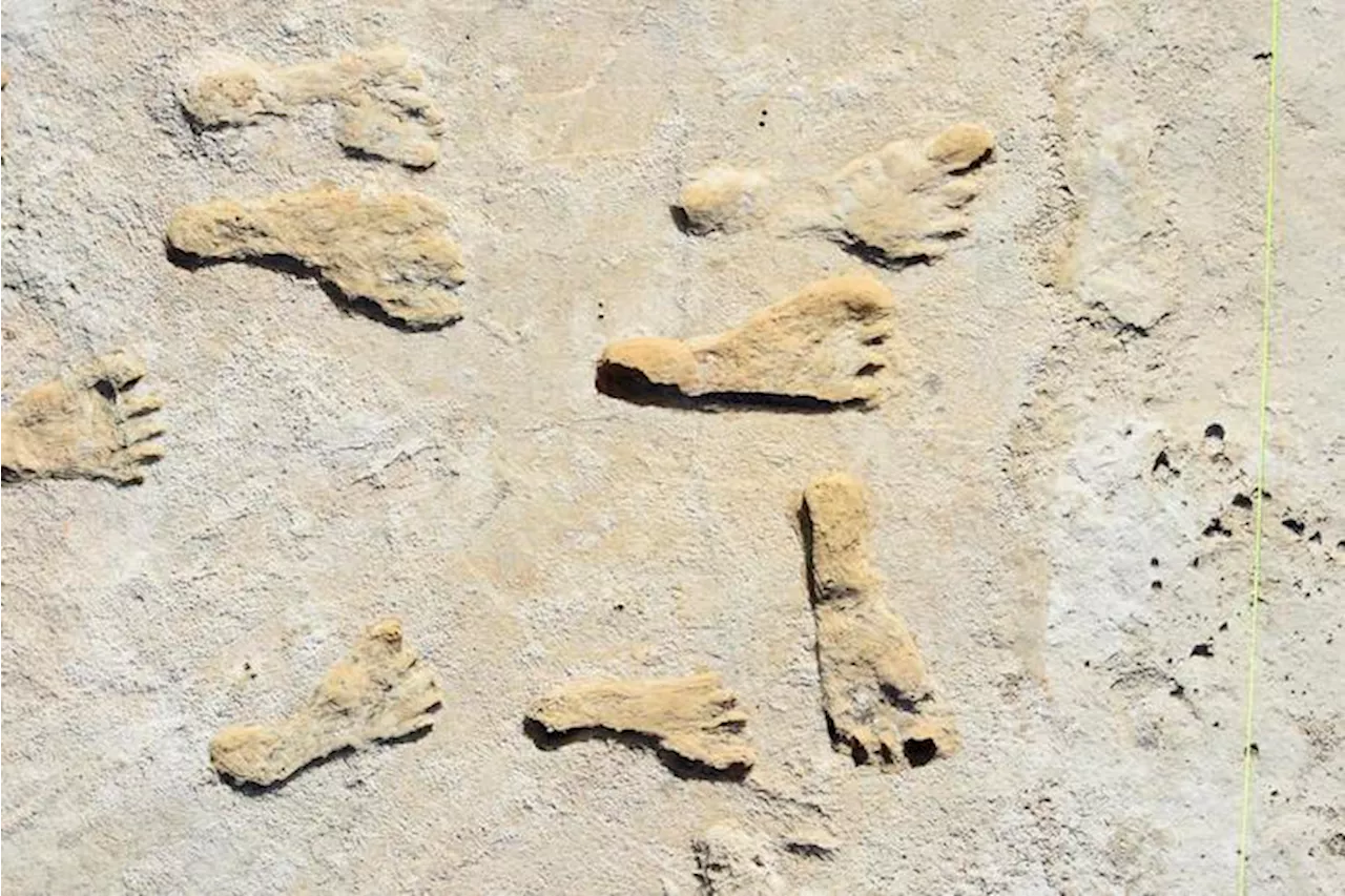 Did Researchers Find 21,000-Year-Old Human Footprints in New Mexico?