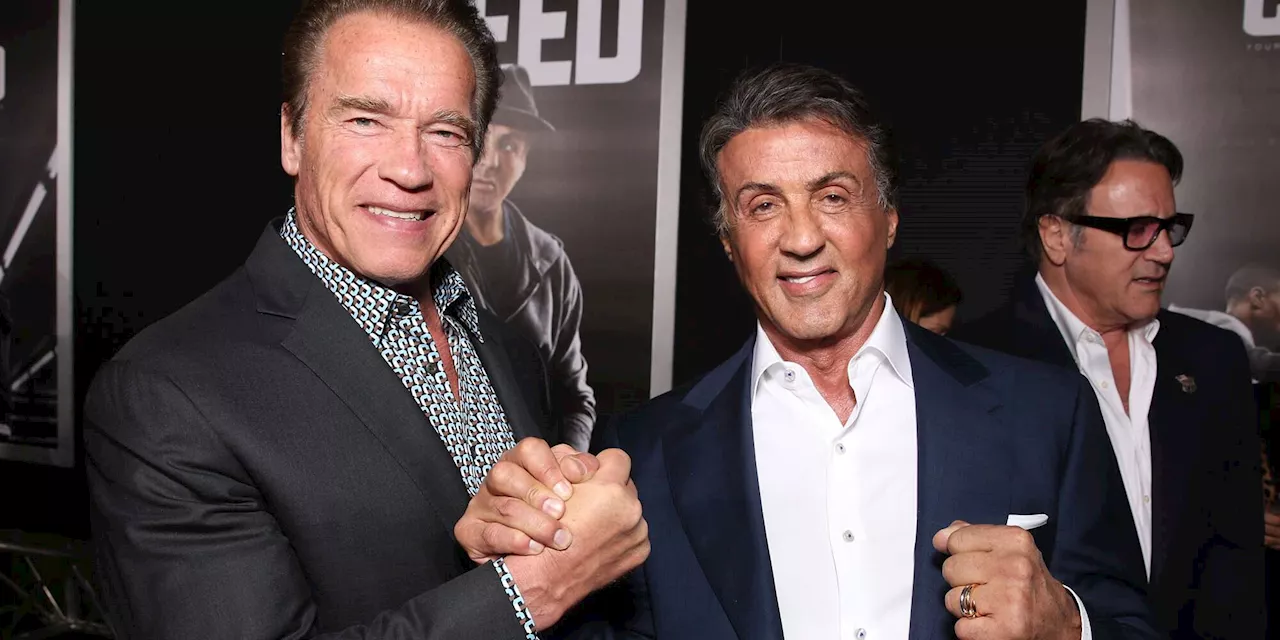 Arnold Schwarzenegger's response to frenemy Sylvester Stallone's yacht invite: 'I can get my own'