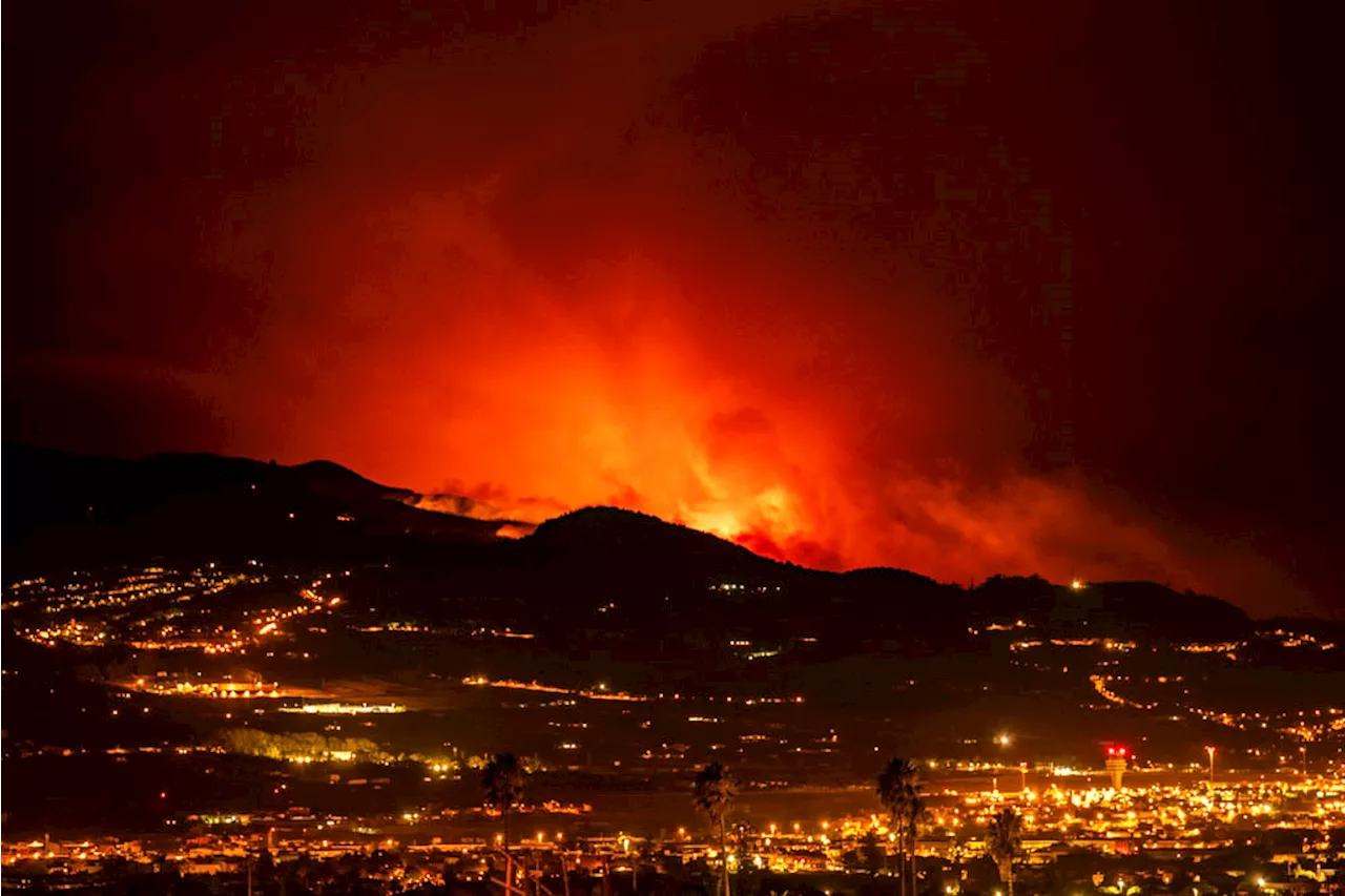 Wildfire forces evacuation of thousands from homes in Tenerife