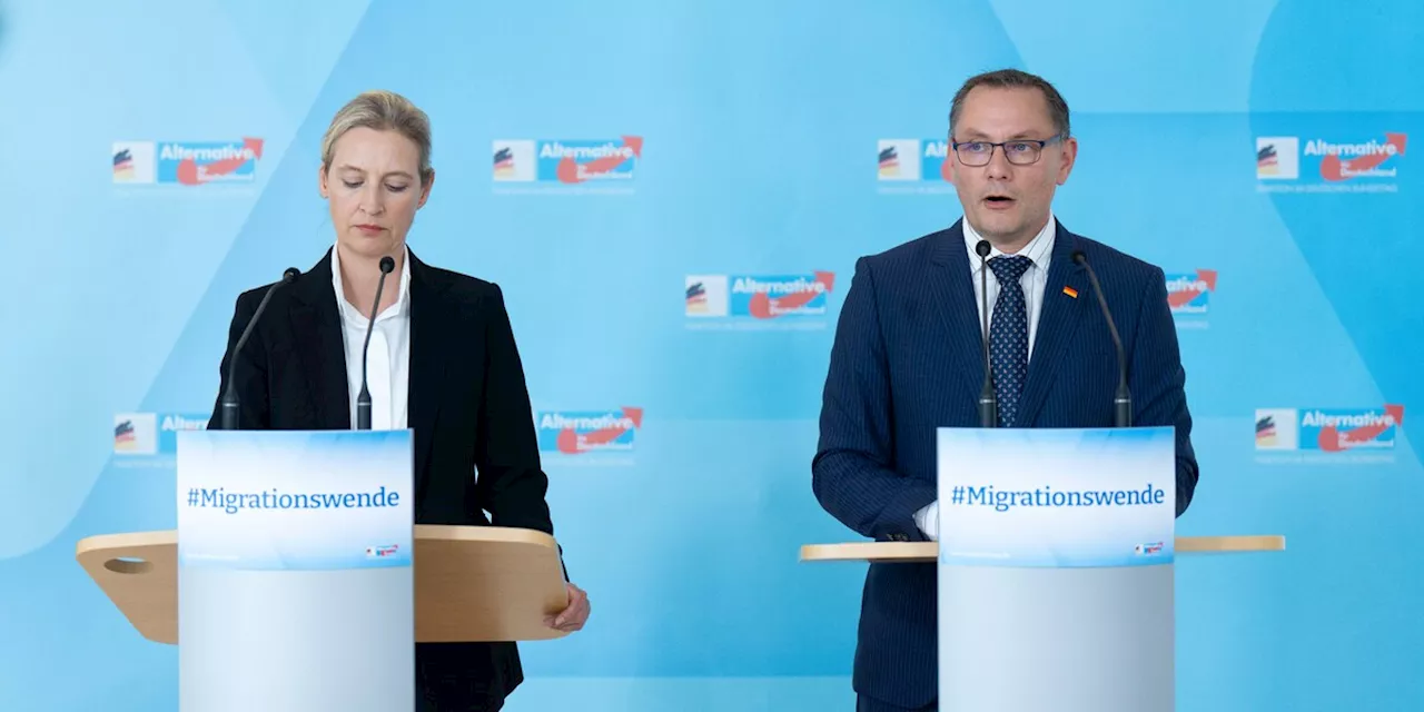 Chrupalla im Krankenhaus, Weidel in Sicherheit gebracht - was wir wissen